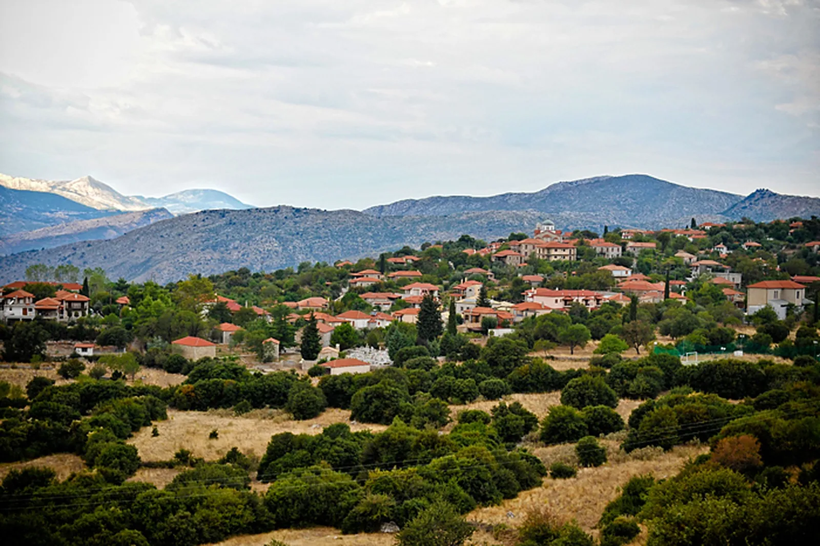 Χωριό με κεραμοσκεπές ανάμεσα σε πράσινο, με βουνά πίσω